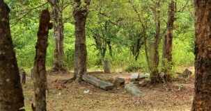 Weherayaya Dagoba
