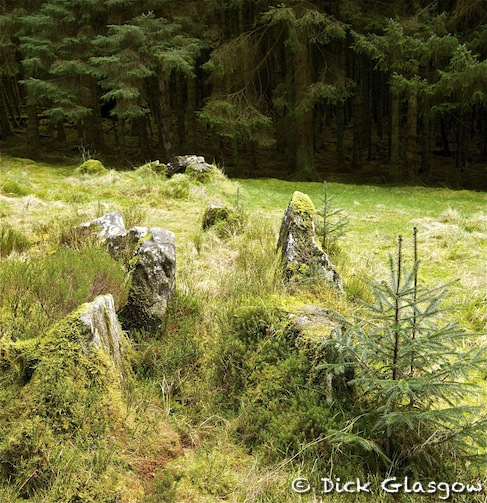 Click for the gallery page to add comments and vote (PID:163990) Ballyvennaght Court Tomb