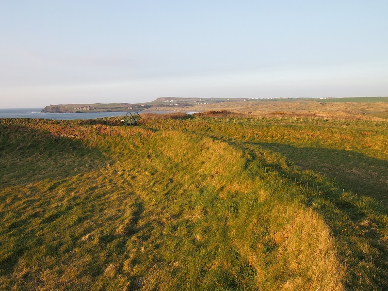 Lissanduff Earthworks