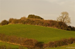 Knockahollet motte and Bailey