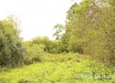 Ballylough Crannog - PID:170425