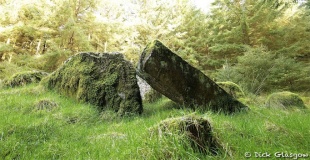 Ballyvennaght Court Tomb 
