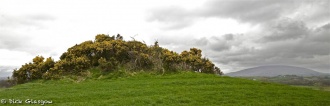 Carnrig Fort