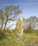 Flower Hill