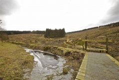 McQuillan's Grave
