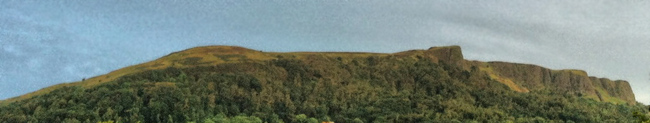 McArts Fort