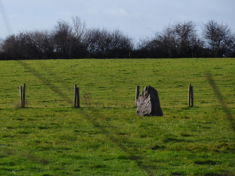 Derrycaw Standing Stone (PID:130593) Derrycaw Standing Stone