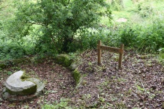 St Mullins Monastic Site - PID:311160 St Mullins Monastic Site - PID:311160