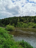 St Mullins Monastic Site - PID:311162 St Mullins Monastic Site - PID:311162