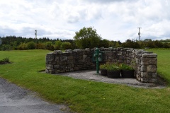 St Mullins Monastic Site