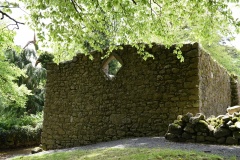 St Mullins Monastic Site