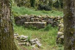 St Mullins Monastic Site - PID:311167 St Mullins Monastic Site - PID:311167
