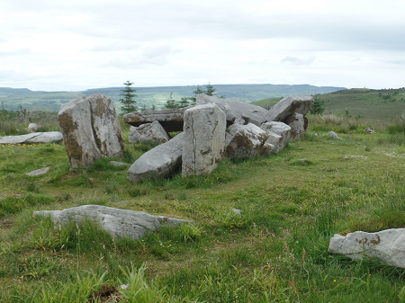 Tullygobban Wedge Tomb