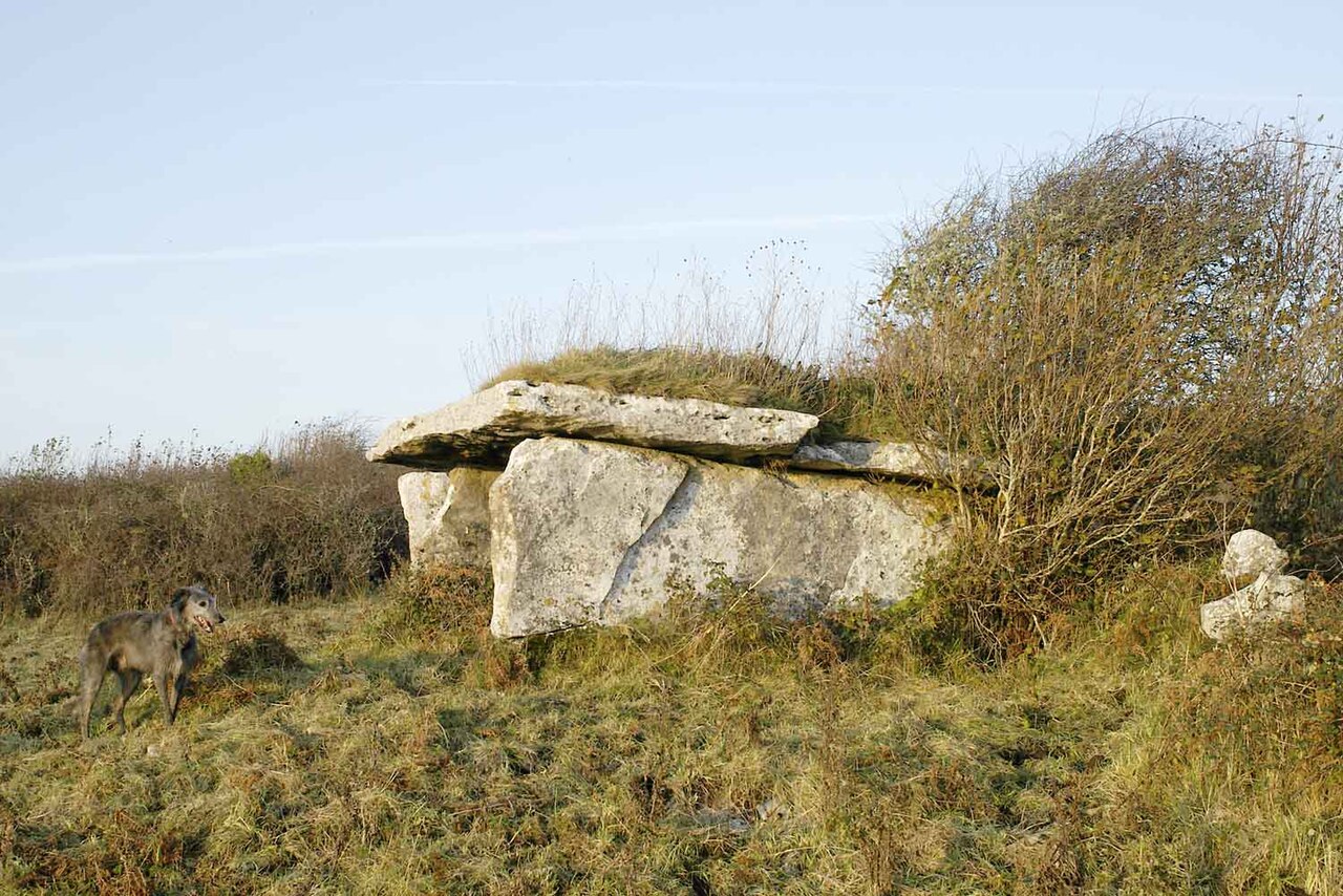 Clooneen Wedge Tombs