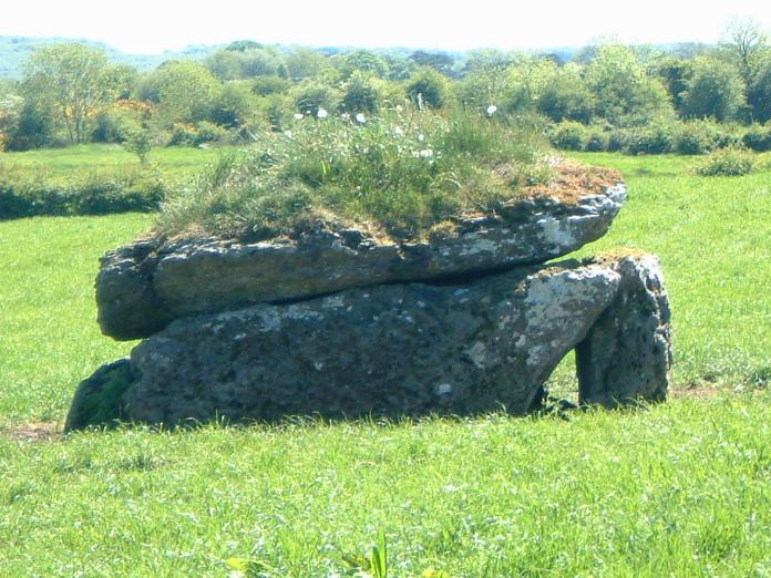 Click for the gallery page to add comments and vote (PID:7399) Milltown Wedge Tomb