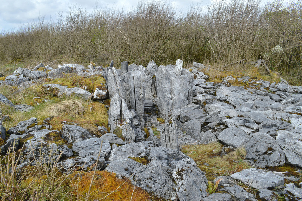 Click for the gallery page to add comments and vote (PID:181765) Parknabinnia Court Tomb