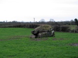 Milltown Wedge Tomb - PID:119486