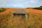 Click for full size image of Oisin's Dolmen (PID:279675) Oisin's Dolmen