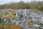 Parknabinnia Court Tomb - PID:181765