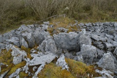 Parknabinnia Court Tomb - PID:181800