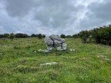Parknabinnia Court Tomb - PID:291951