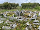 Parknabinnia Court Tomb - PID:291950