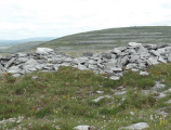 Turlough Hill Neolithic fort