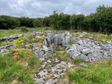Parknabinnia Court Tomb - PID:291952