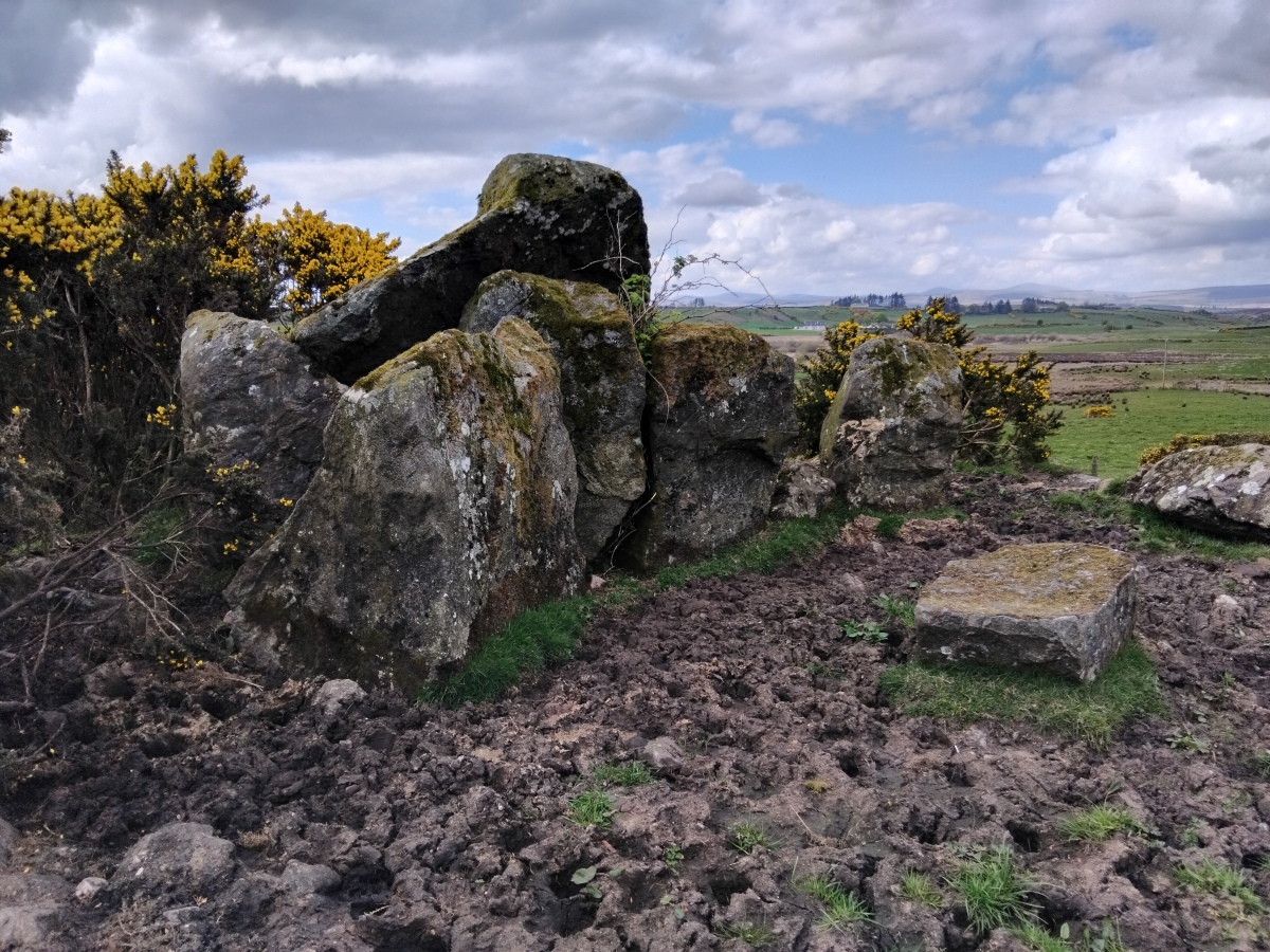 Cregganconroe Court Tomb