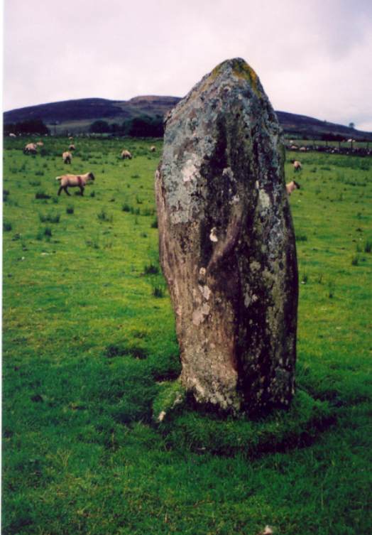 Click for the gallery page to add comments and vote (PID:41619) Aghalane standing stone