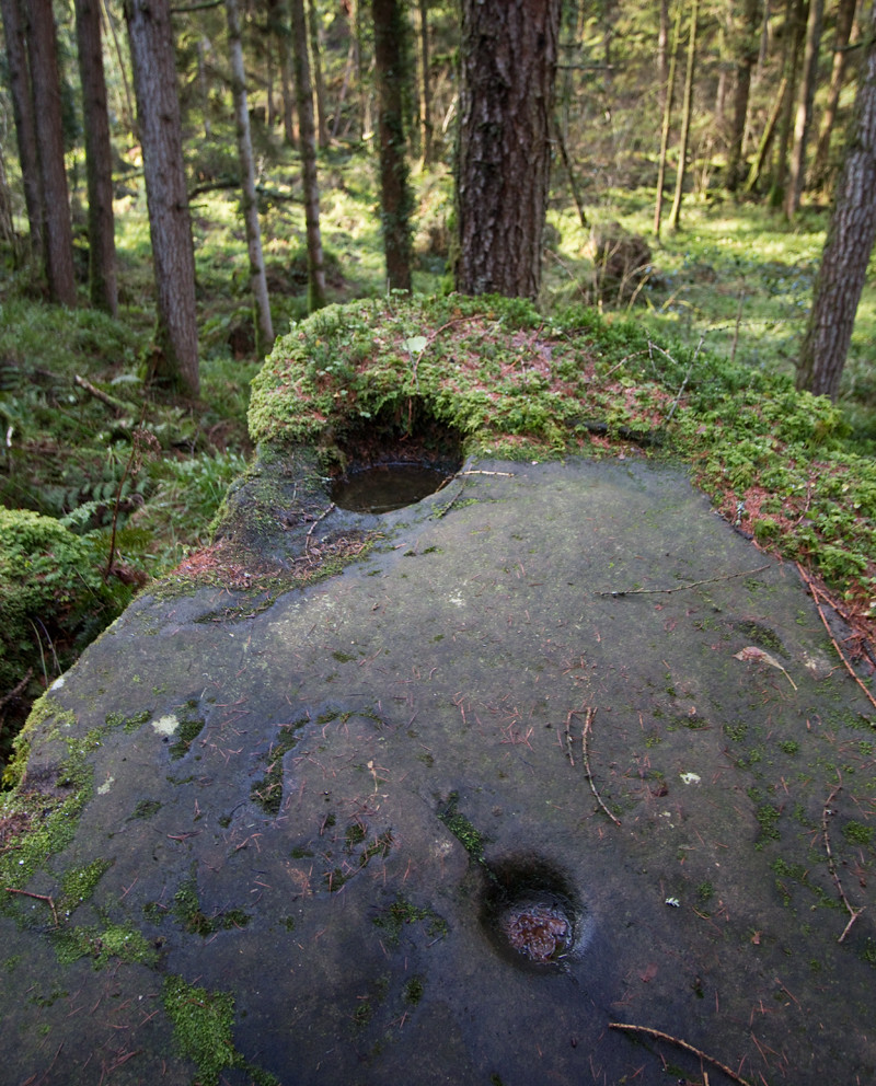 St Patrick's Chair and Well (Altadaven)