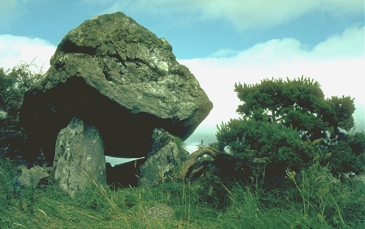 Click for the gallery page to add comments and vote (PID:76692) Leitrim Portal Tomb