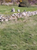 Beleevna Beg