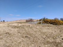 Dún Ruadh