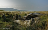 Click for full size image of Clogherny Meenerrigal (PID:163152) Clogherny Meenerrigal