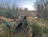 Meenacloy Standing Stones - PID:267737