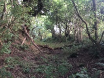 Ballynabwee fort