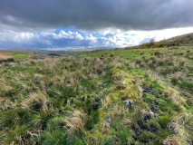 Gorticashel upper cashel
