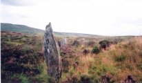 Click for full size image of Clogherny Meenerrigal (PID:41578) Clogherny Meenerrigal