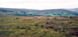 Click for full size image of Clogherny Meenerrigal (PID:41576) Clogherny Meenerrigal