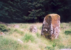 Davagh Lower S