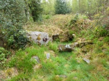 Carnfadrig