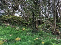 Lisnaragh Irish rath