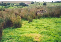 Scraghy NW