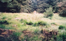 Davagh Lower S