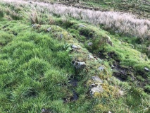 Gorticashel upper cashel