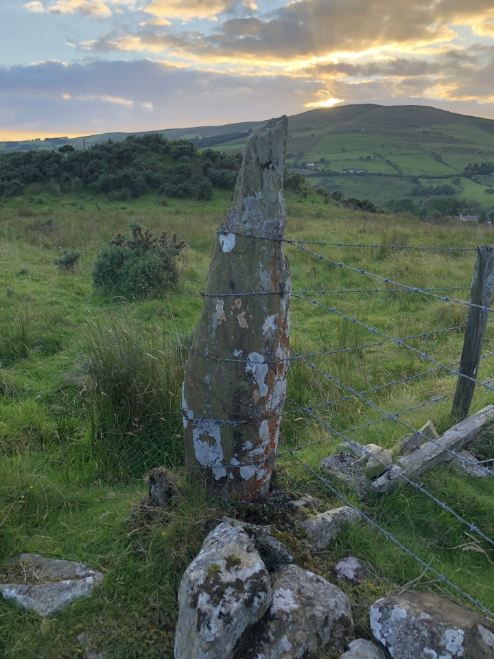 Click for full size image of Clogherny standing stone (PID:287903) Clogherny standing stone