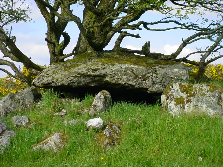 Loughmacrory Wedge Tomb