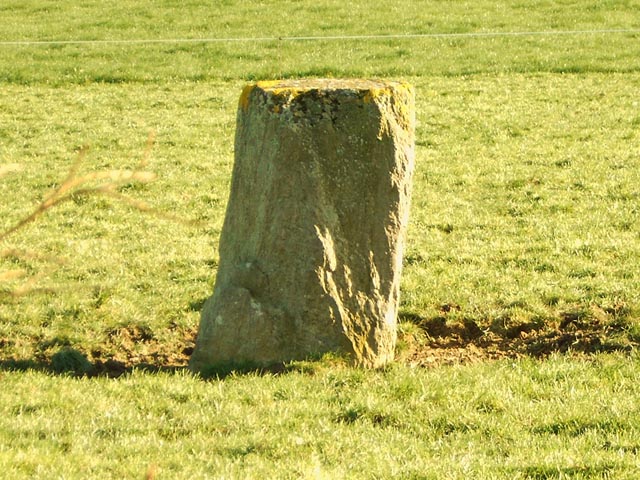 Ballymacwilliam Standing Stone