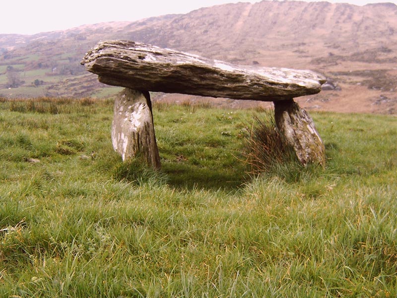 Click for the gallery page to add comments and vote (PID:13029) Ballynahowen Wedge Tomb